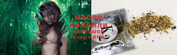 сатива Абинск