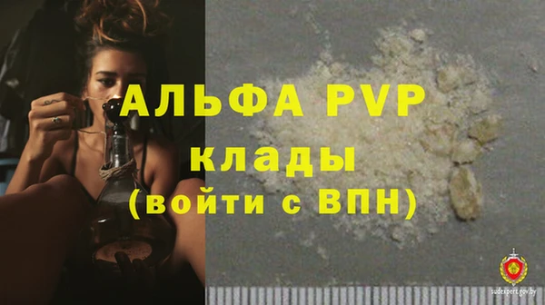 сатива Абинск
