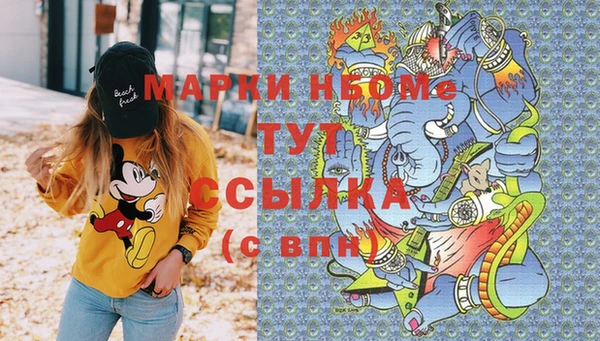 сатива Абинск
