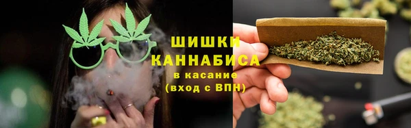сатива Абинск