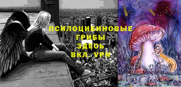 сатива Абинск