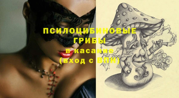 сатива Абинск