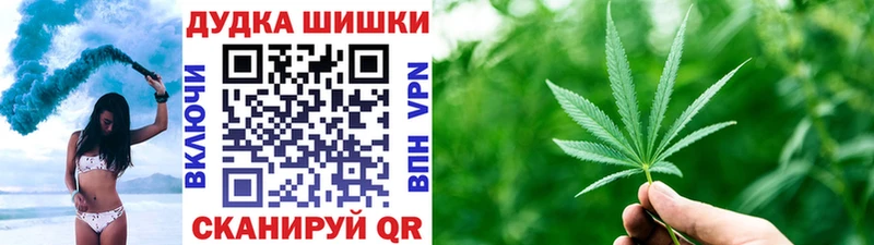 цена наркотик  гидра ONION  Бошки Шишки White Widow  Щёлково 